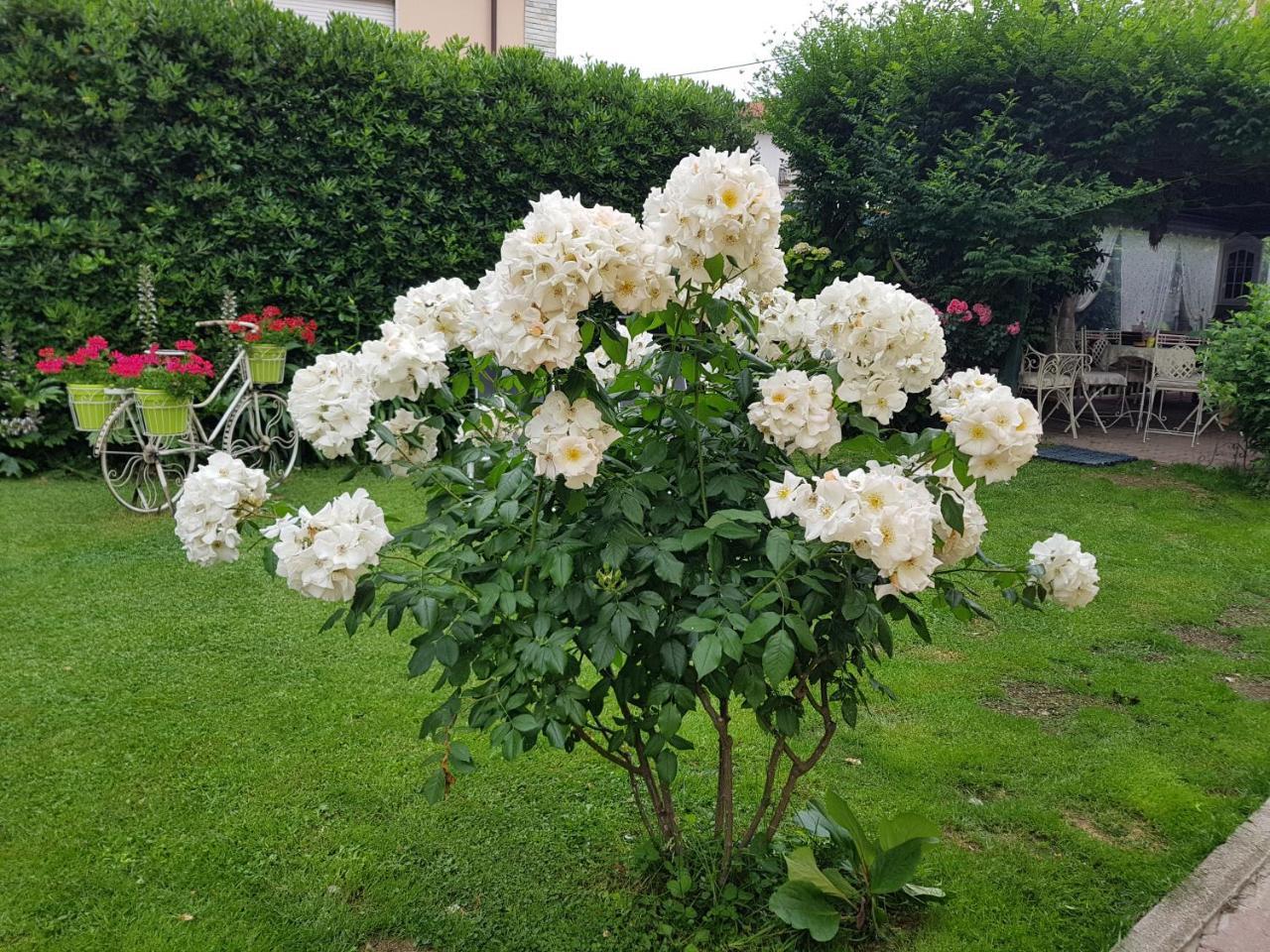 Bed & Breakfast Il Giardino In Citta La Spezia